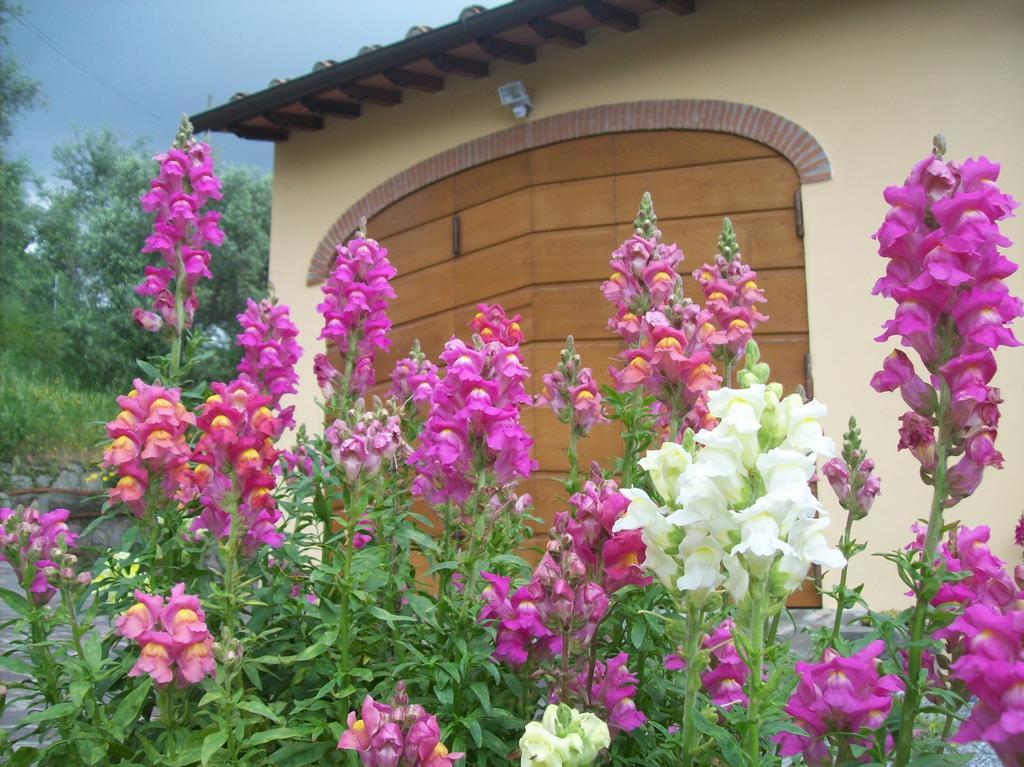 La Casa Dei Limoni Apartment Matraia Exterior photo